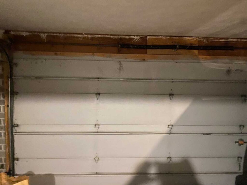 Project View 5