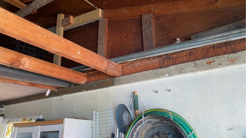 Project View 4
