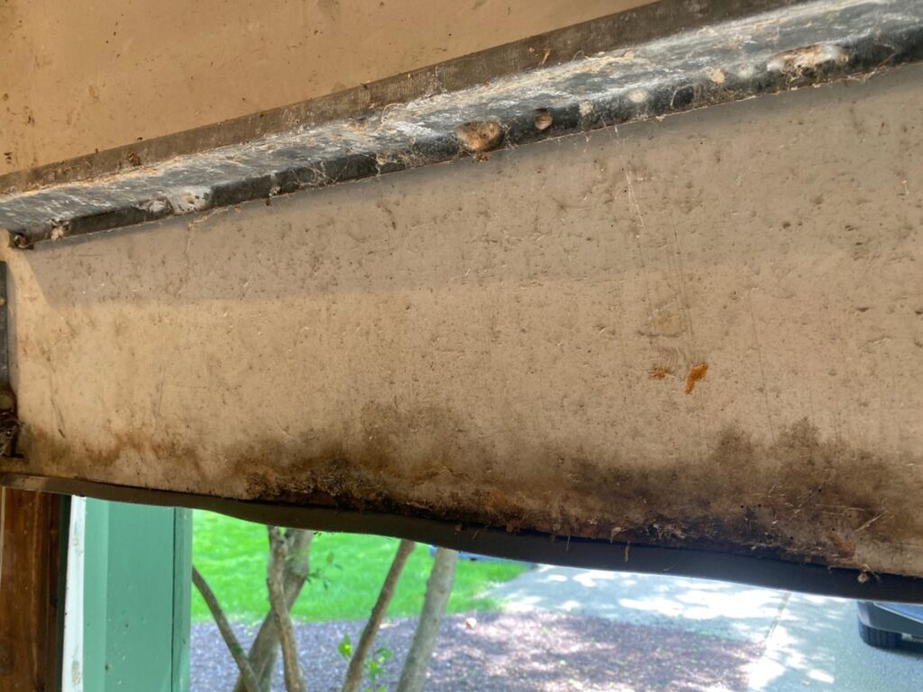 Project View 4
